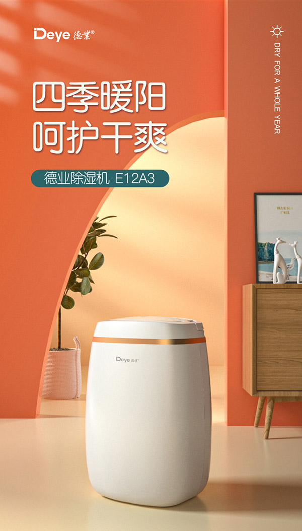 德业Deye除湿机/抽湿机 除湿量12升/天 家用轻音吸湿器地下室干燥机干衣净化 wifi手机控制DYD-E12A3