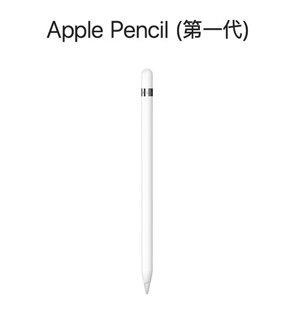 Apple Pencil (第一代) 含USB-C转换器【适用iPad mini5/iPad Air3/iPad 10.2英寸(第九/十代)】