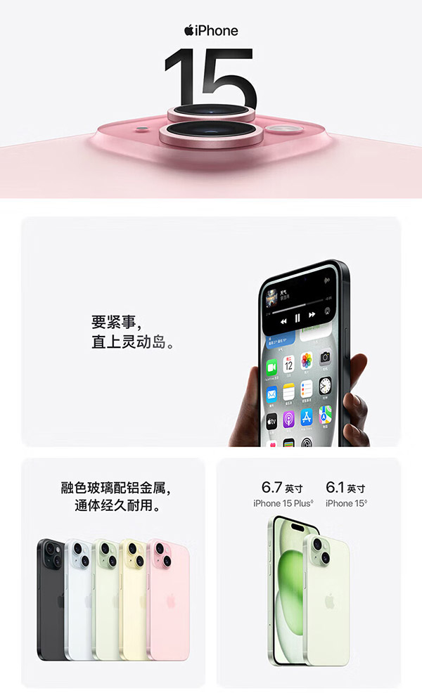 Apple iPhone 15 Pro Max (A3108) 256GB 原色钛金属 支持移动联通电信5G 双卡双待手机