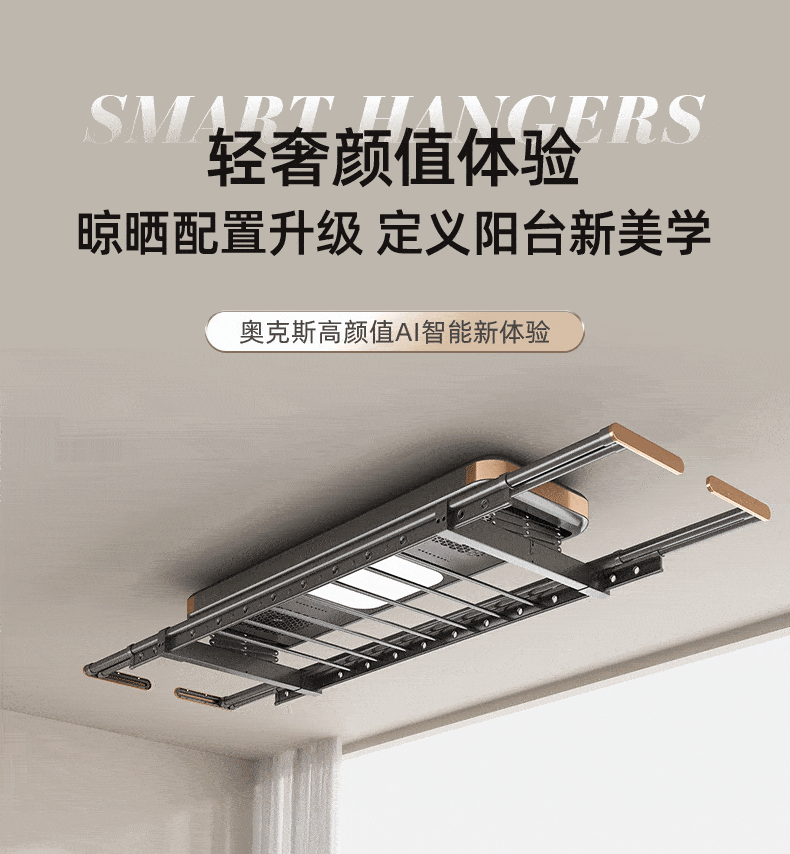 奥克斯（AUX）电动晾衣架智能自动升降晒被阳台晾衣架伸缩晾衣杆隐藏多功能衣架 奥丁灰丨全屏照明+衣被同晒
