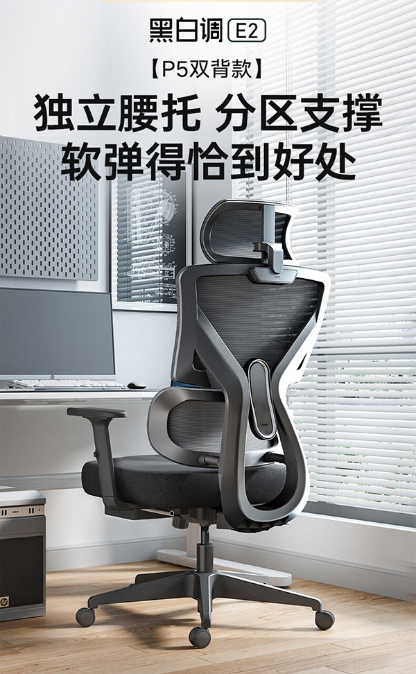 黑白调（Hbada）P5双背款 人体工学椅电脑椅子办公椅学习人工力学椅电竞椅高配