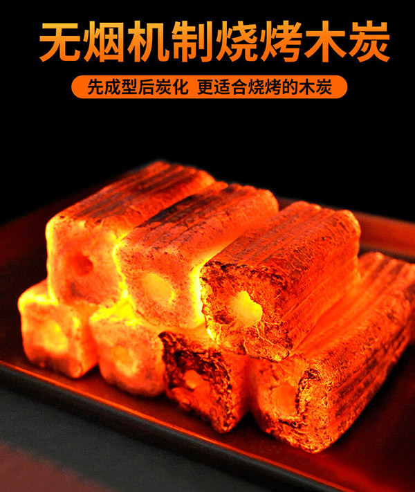 尚烤佳（Suncojia） 烧烤碳 无烟木炭 果木炭 火锅炭 空心木碳 取暖燃烧5斤 含引火块