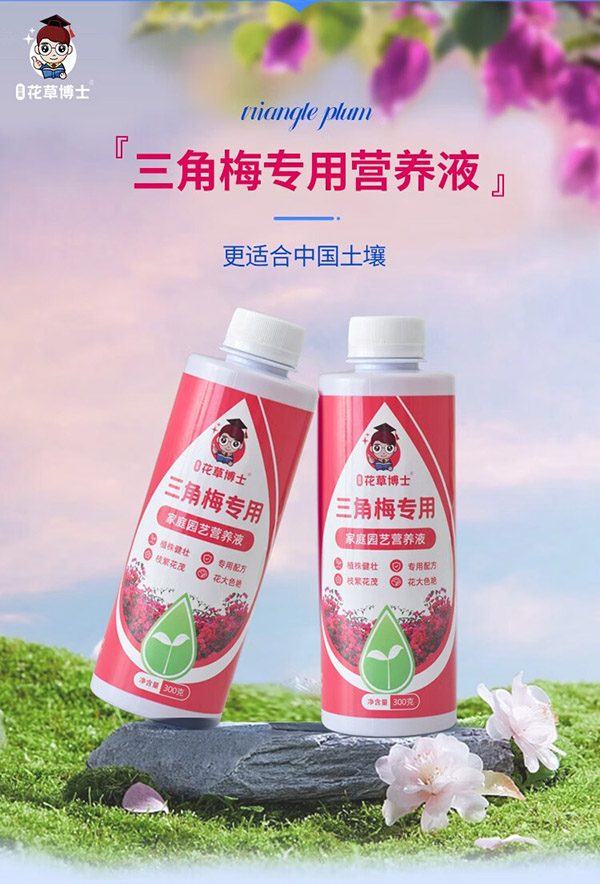 星宸花草博士三角梅肥料专用肥植物营养液梅花盆栽家用花卉养花促开花腊梅通用 三角梅专用营养液300g*3