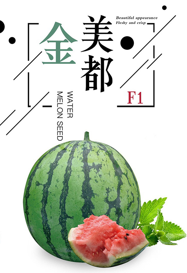 中科茂华蔬菜水果种子金美都西瓜种子改良8424麒麟瓜高纯浙江美都西瓜種子 金美都4000粒/盒【育苗专用】