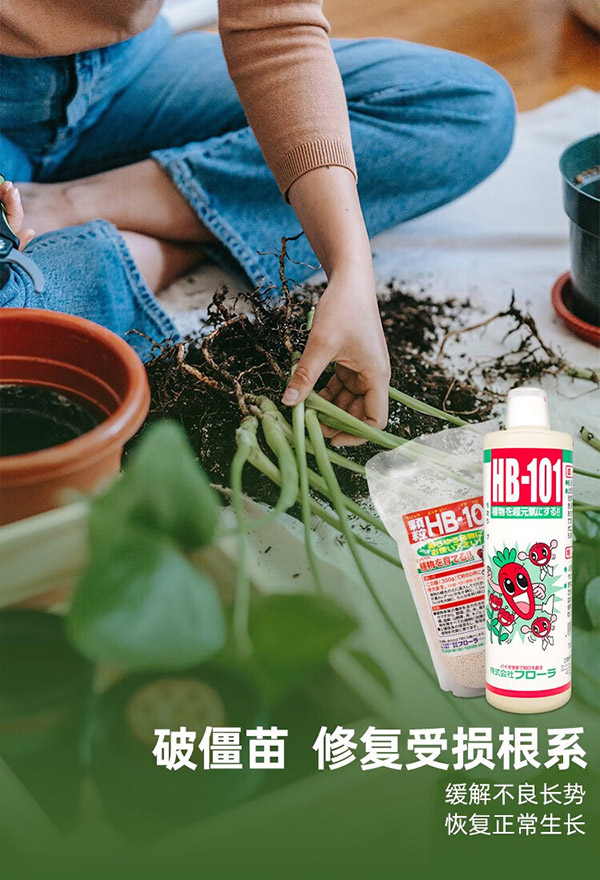 HB-101原装进口植物活力素发根破僵苗绿植花卉多肉通用生根液急救营养液 HB101液体-50ml