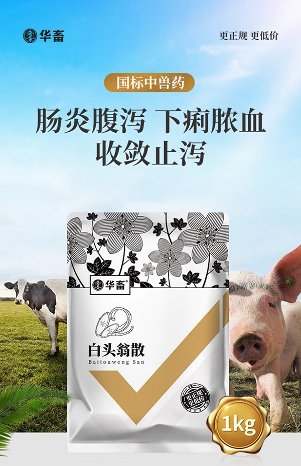 华畜兽药白头翁散兽用猪牛羊鸡鸭大肠杆菌痢疾肠炎拉稀伤寒禽药痢头翁 1袋【白头翁散】1kg/袋