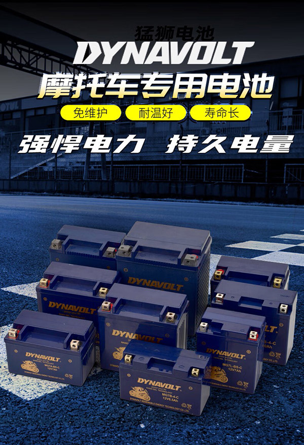猛狮电池摩托车电瓶12v通用适用于雅马哈迅鹰丽鹰尚领125踏板豪爵海王星喜之星悦星fnx三阳巡弋150无极300