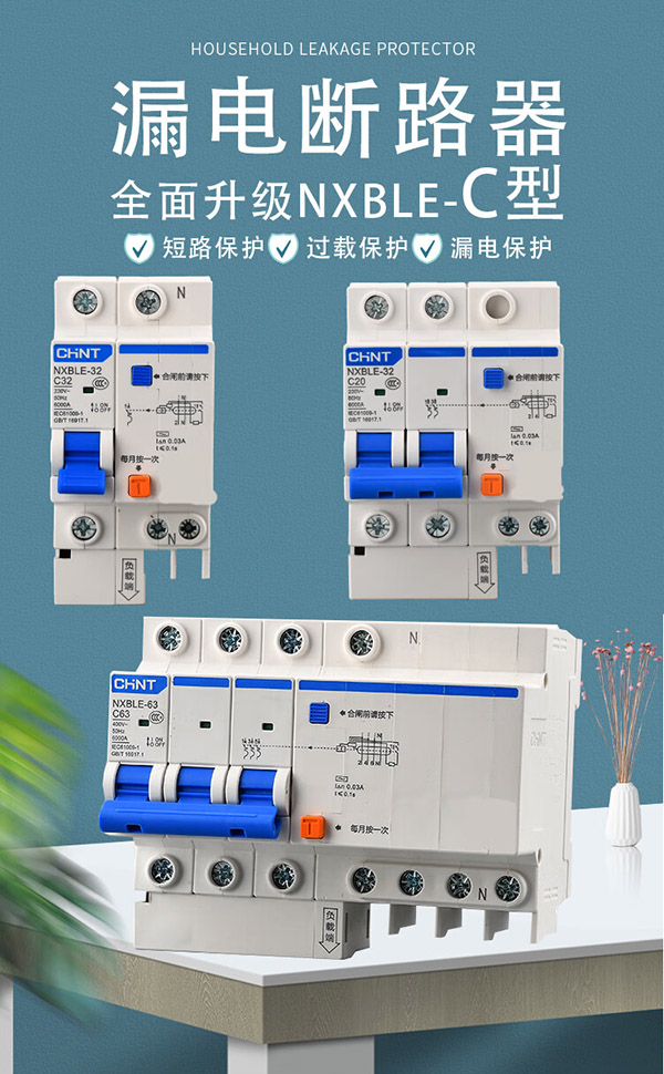 正泰（CHNT）小型漏电保护断路器NXBLE-63-2P-C63漏保空气开关63A