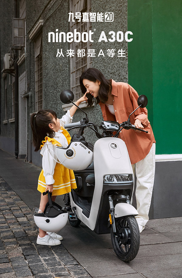 九号（Ninebot）电动自行车新A30C智能车新国标可上牌铅酸电池自行车