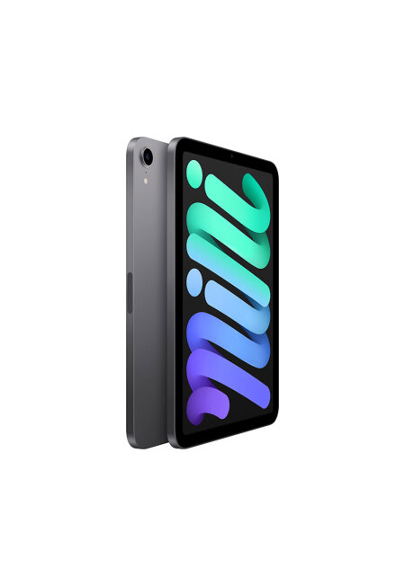 Apple/苹果【教育优惠】iPadmini 8.3英寸平板电脑 2021款(256GB WLAN版/MK7T3CH/A)深空灰色