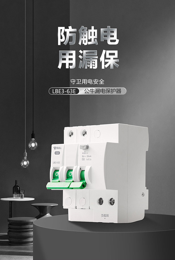 公牛(BULL) 空气开关 2P漏电保护断路器 双进双出63A带漏保家用电源空开LBE3-63E/63A-2P