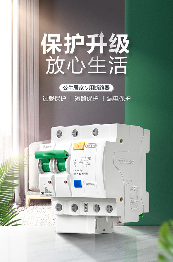 公牛(BULL) 空气开关 2P漏电保护断路器 双进双出63A带漏保家用电源空开