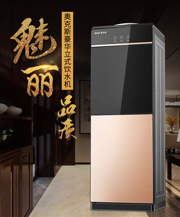 奥克斯（AUX） 饮水机家用立式办公双开门柜式快速加热饮水器 旗舰款【轻奢黑金温热】 温热型